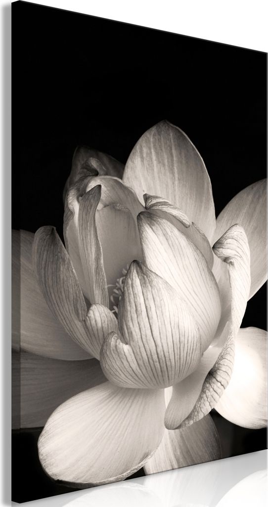 Italienischer Leinwand Leinwandbild - Delicacy of Petals in Nature (1-part) - Flower in Black and White 20x30 cm Blumen b-B-0374-b-a