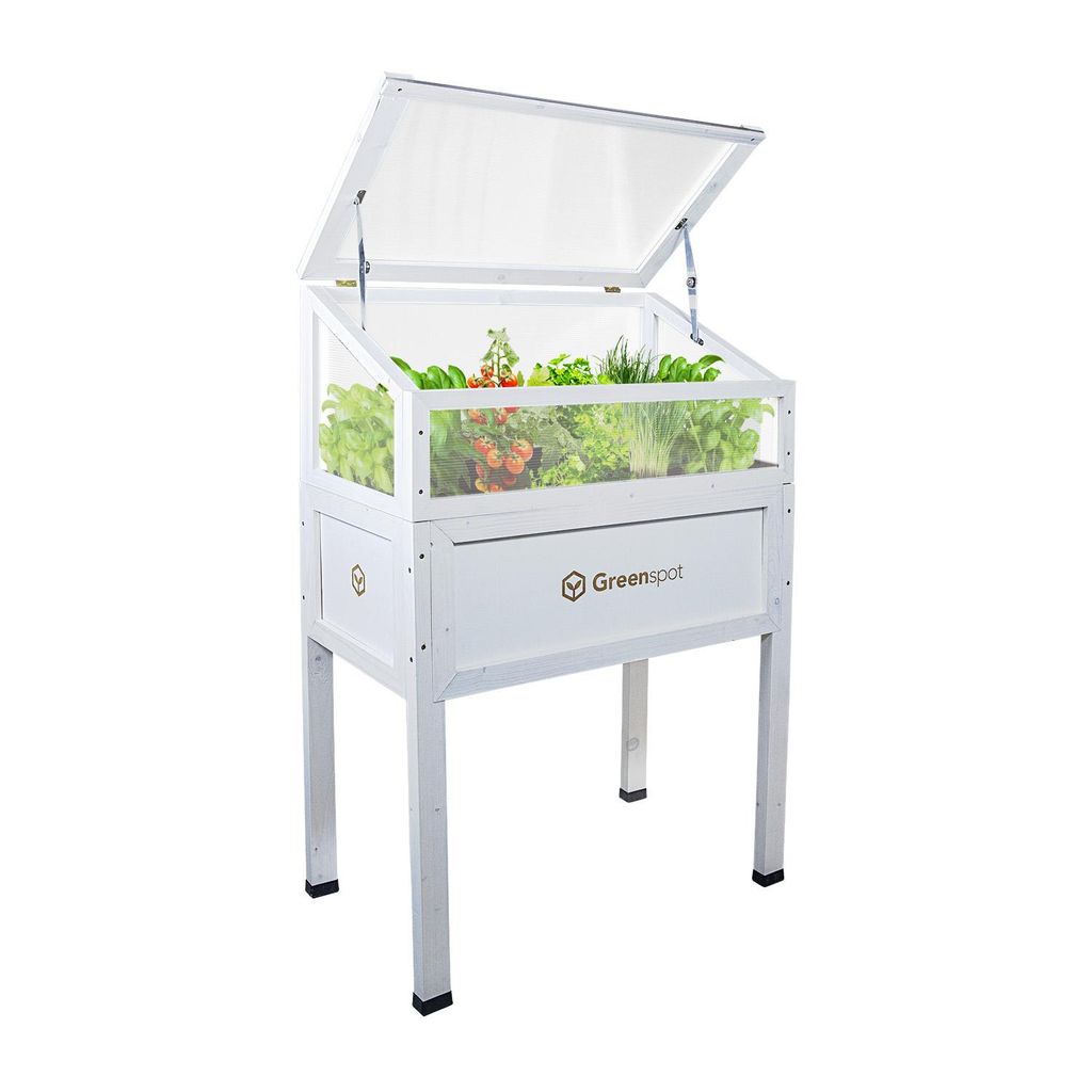 Greenspot Mini-Gewächshaus mit Abdeckung für Balkon und Terrasse 80x45x120 cm - Gewächshaus auf Holzplattform, Hochbeet aus Holz, Frühbeet mit ...