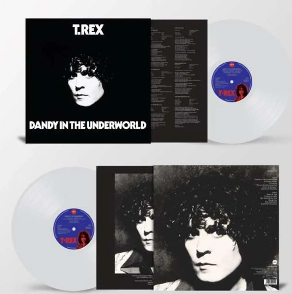 T. Rex - Dandy Aux Enfers Vinyle Album Culte Glam Rock LP Original