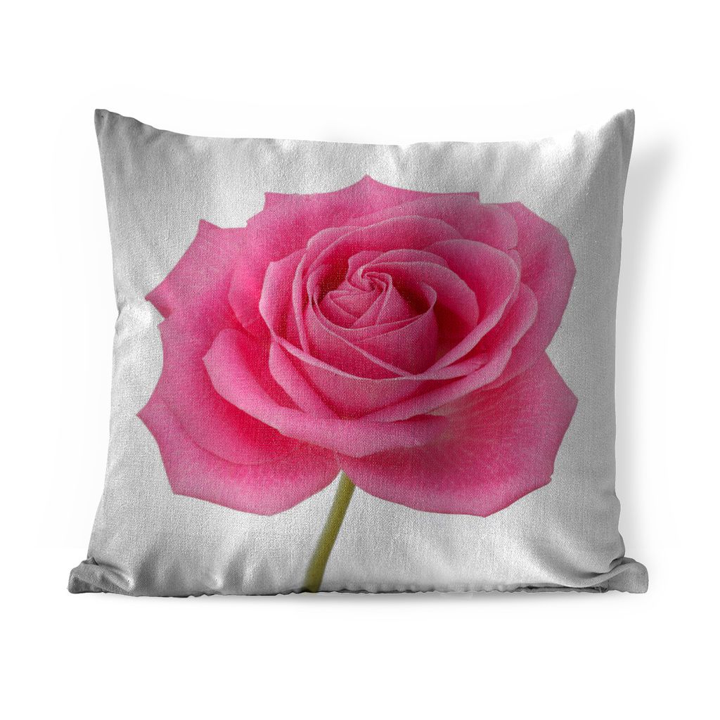 MuchoWow Zierkissen Sofakissen Wohnzimmer Dekokissen 45x45 cm Nahaufnahme einer einzelnen rosa Rose auf weißem Hintergrund - Schlafpolster - Pol...