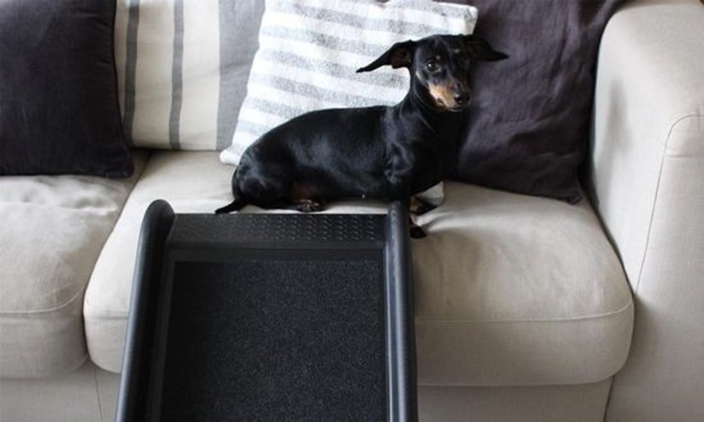 TRIXIE Pet Ramp Plastový brúsny papier čierny Obrázok produktu 10