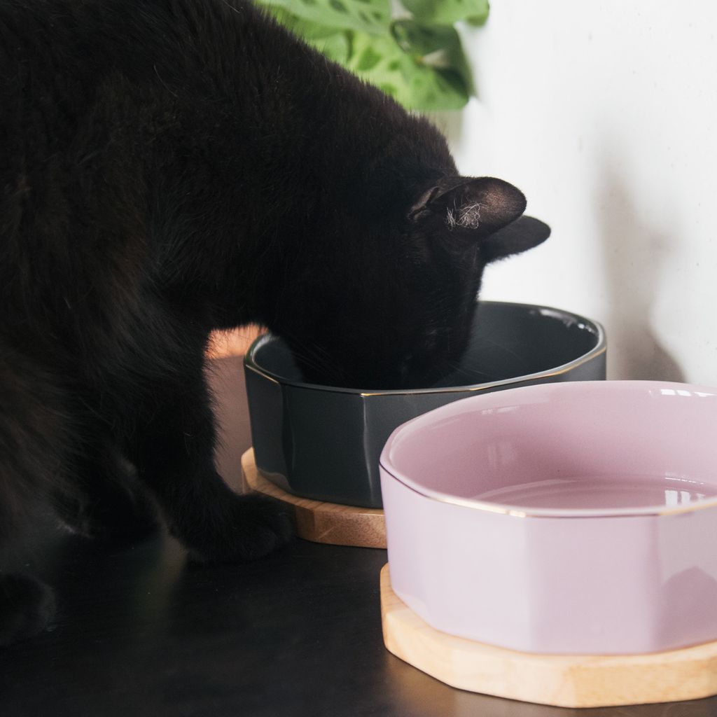Keramik-Futternapf Für Katzen & Kleine Hunde – Spülmaschinenfest, 14 Cm Durchmesser, 170 Ml