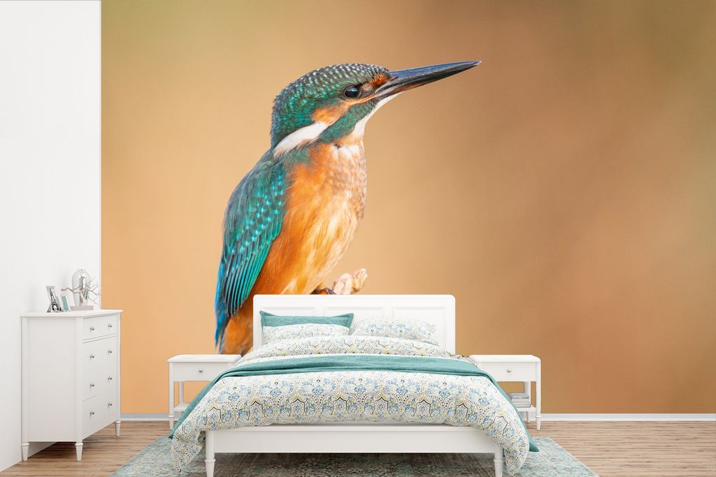 MuchoWow Fototapete für Wohnzimmer oder Schlafzimmer Wandtapete Vinyl Motivtapete Eisvogel - Federn - Äste - 450x300 cm - Gemusterte