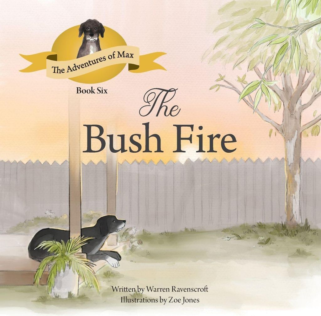 The Bushfire