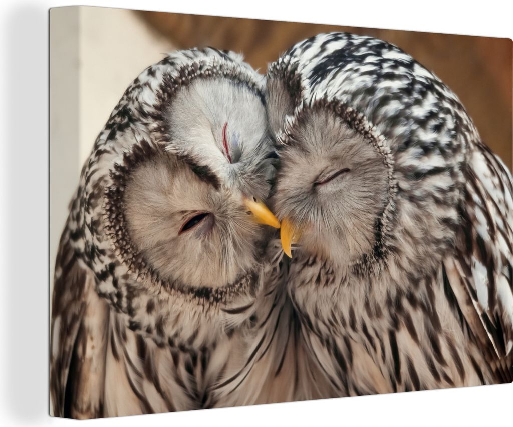 MuchoWow - Leinwandbilder - Eulen - Vögel - Schnabel - Familie, Wandbild, Wanddeko Bilder Wohnzimmer, 90x60 cm