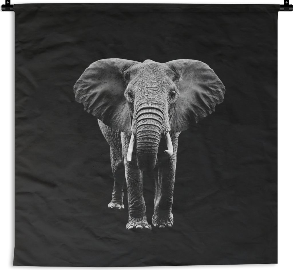 MuchoWow Wandteppich Wandbehang Elefant - Zähne - Tiere - Schwarz - Weiß 150x150 cm Tapisserie Dekoration Wandtuch - Wohnaccessoires - Modernes