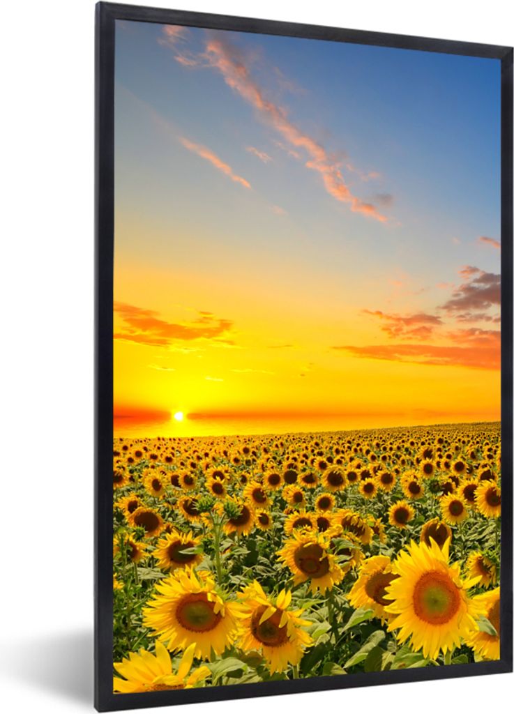 MuchoWow Gerahmtes Poster Blumen - Sonnenblume - Sonnenuntergang - Nacht - Orange 40x60 cm - Poster mit Schwarzem Bilderrahmen Wandposter Rahmen ...