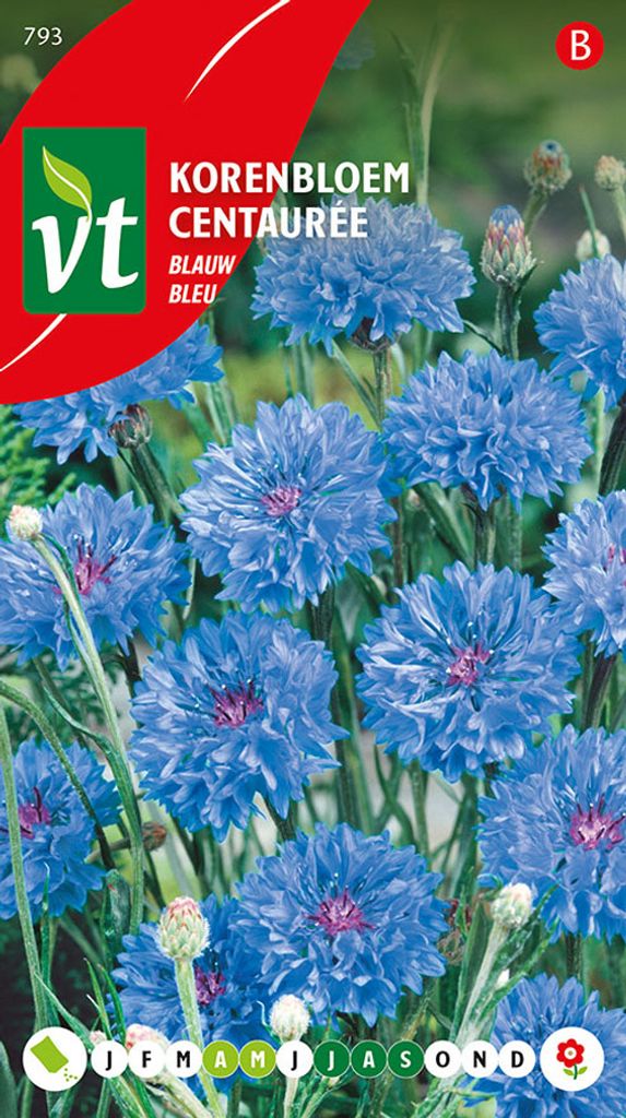 Semienka Centaury Bleuet Des Champs - cca 1 gr | VT_793 Obrázok produktu 