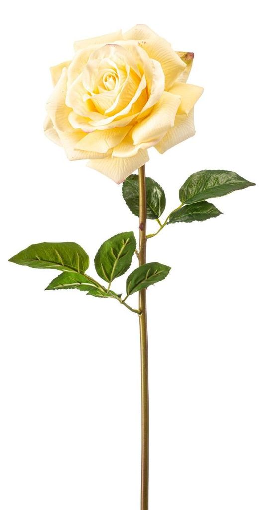 Emerald Künstliche Rose - Melinda | 68 cm, für drinnen, Kunstblume, wie echt, Allergiker geeignet, pflanzliche Dekoration Praxis, Office & Wohnzi...