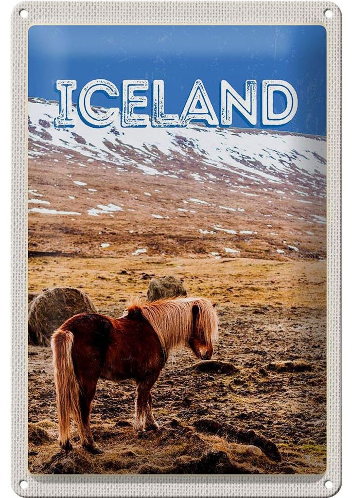 Blechschild Reise 20x30cm Iceland Pony icelandic horse