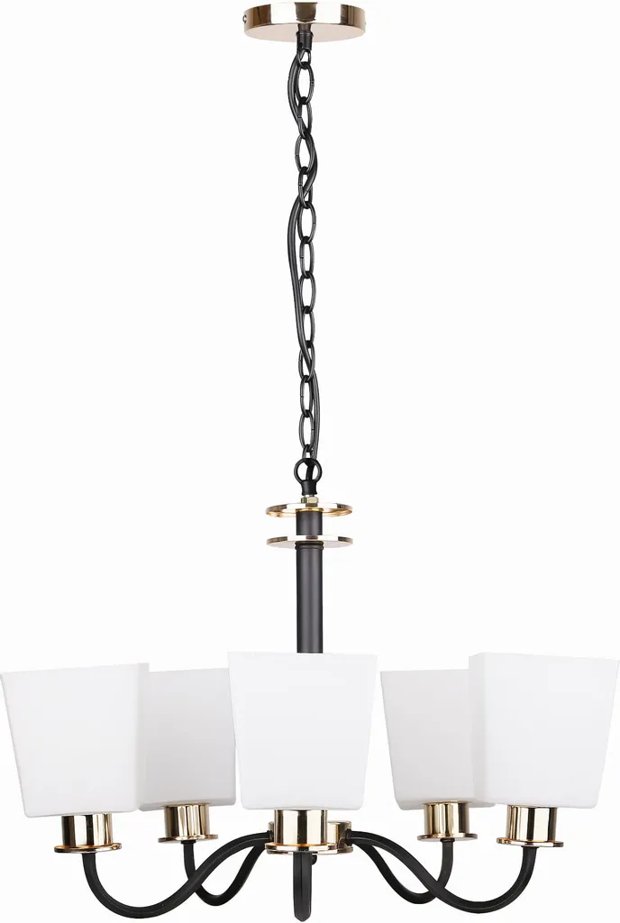 Plafonnier Salon Schubert Noir 5x40W E27 idéal pour Grand Séjour Chic