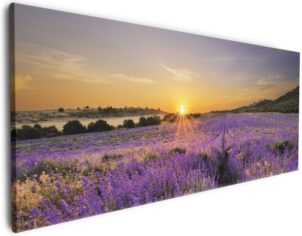 Wallario Premium Leinwandbild Sonnenuntergang über dem Lavendel in Größe 80 x 200 cm