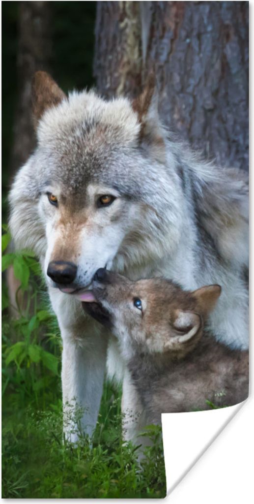 MuchoWow Poster Wolf - Moos - Wald - Welpe 80x160 cm - Kinderzimmer