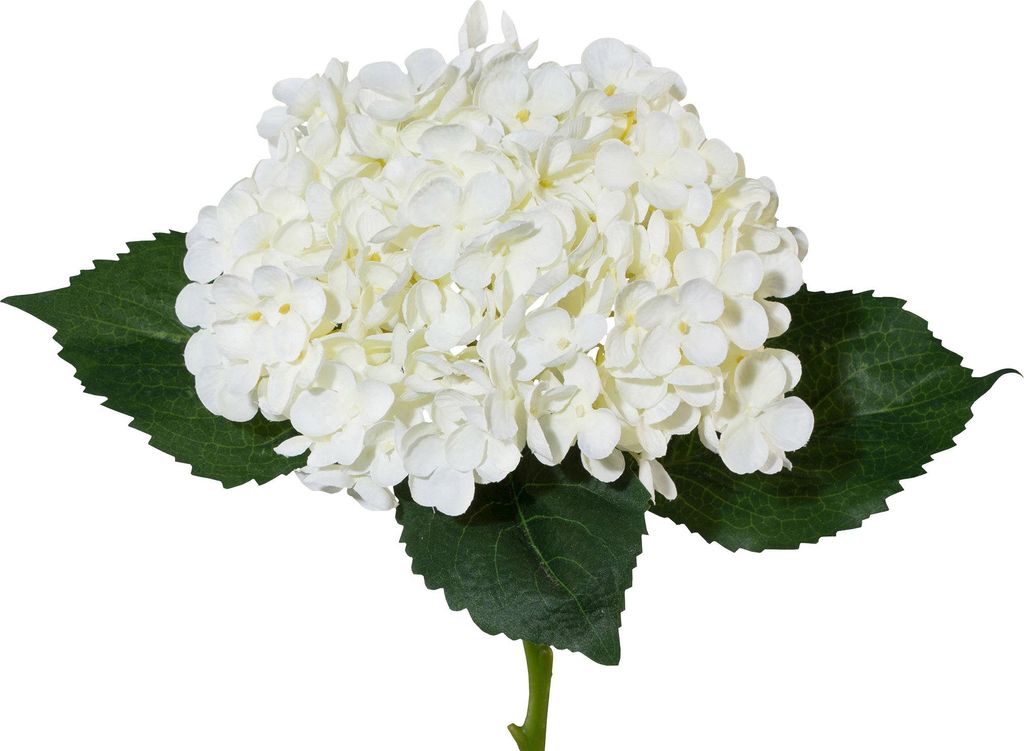 künstliche Hortensie weiß H. 53cm D. ca. 17cm GASPER Produktbild 