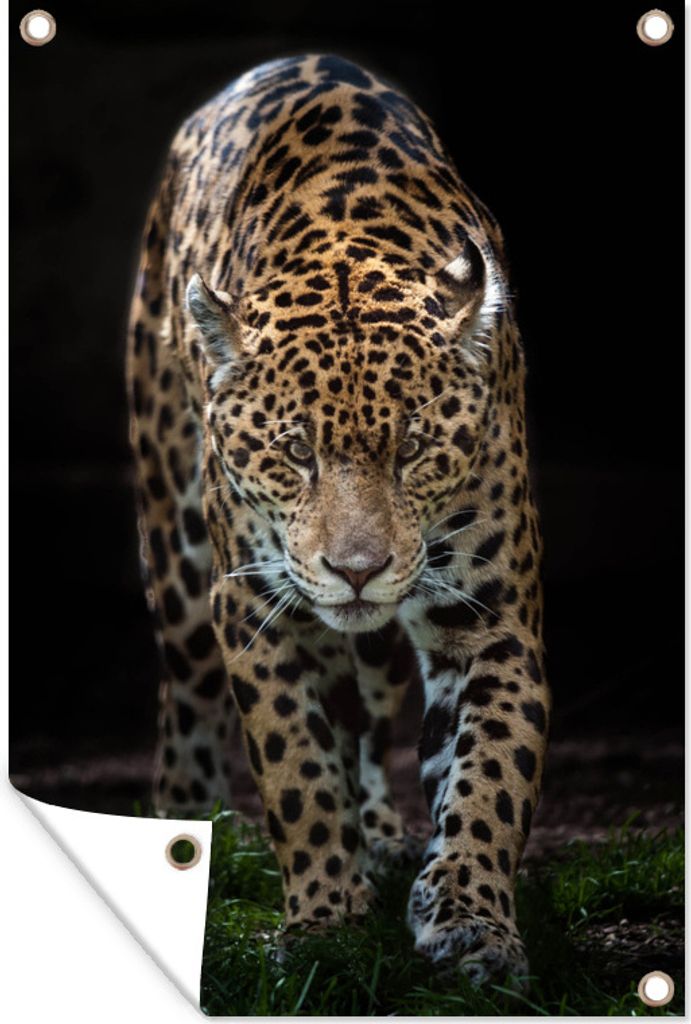 MuchoWow 40x60 cm Outdoor-Poster Gartendeko Sichtschutz Garten Poster für den Garten Jaguar - Schwarz - Gras
