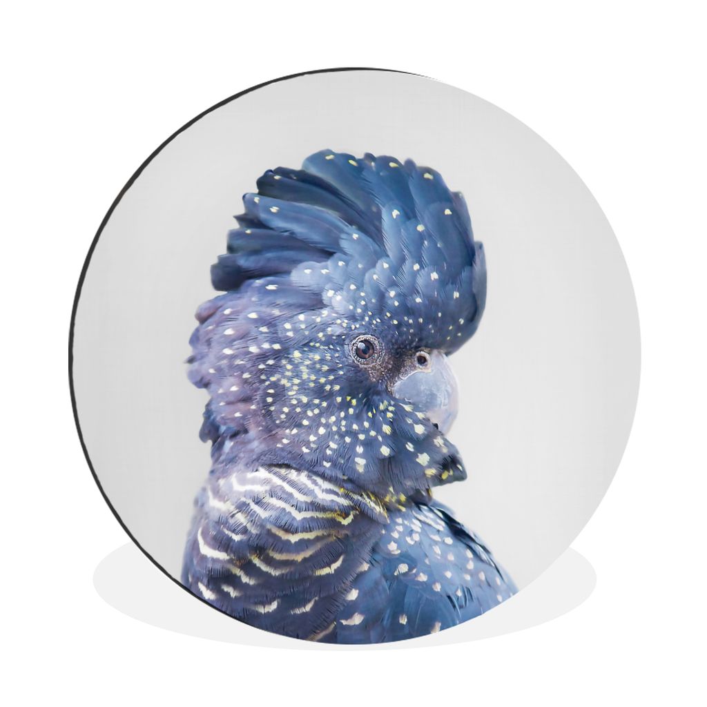 MuchoWow Aluminium Wandkreis Kakadu - Blau - Tiere - Natur Ø 90 cm Wanddeko Modern Wohnzimmer - Mauerkreis - Wandbilder - Runde Bild - Bild aus ...
