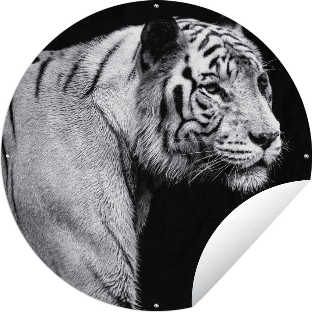 MuchoWow Gartenposter Outdoor-Poster Rund Tiger - Wilde Tiere - Licht Ø 150 cm Gartendeko Rundes Poster draußen