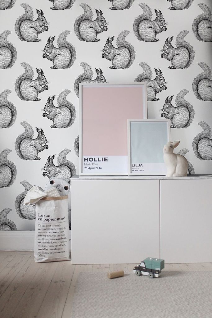 Coloray Fototapete 290x290 cm Vlies-Fototapete - Eichhörnchen skizziert