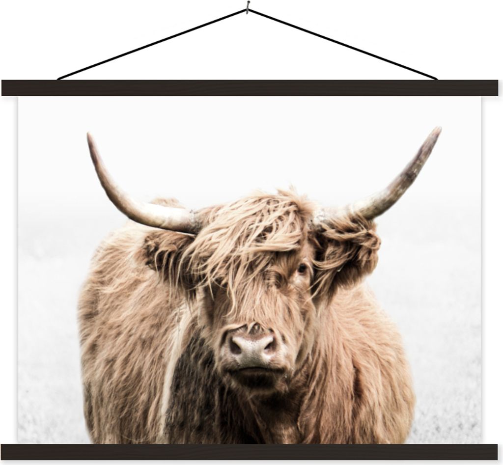 MuchoWow Textilposter Schottisches Hochlandrind - Tiere - Fell 40x30 cm mit schwarzem Rahmen - Dekorationen