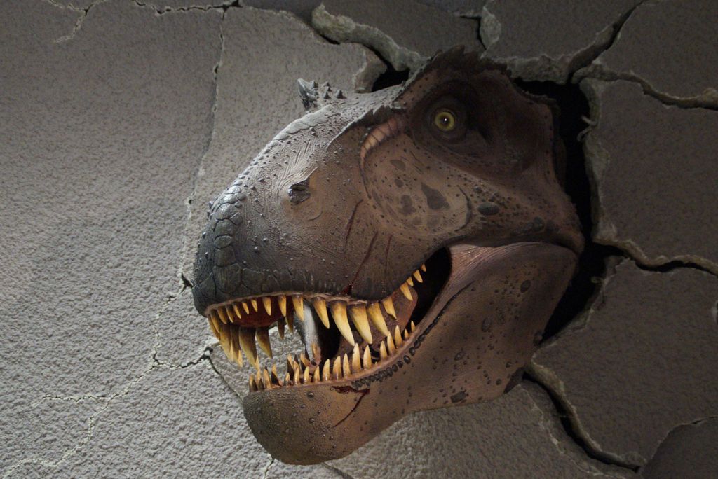 hansepuzzle 11337 - Tyrannosaurus Puzzle, 2000 Teile, Orte, 90,0 x 60,0cm mit hochwertiger Aufbewahrung, Kartonbox und wiederverschließbarem Beutel