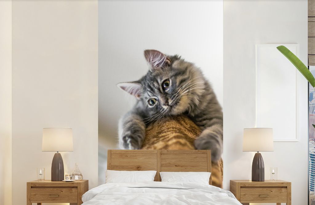 MuchoWow Fototapete für Wohnzimmer oder Schlafzimmer Wandtapete Vinyl Motivtapete Katze - Kratzbaum - Grau - 120x240 cm - Hintergrundbild