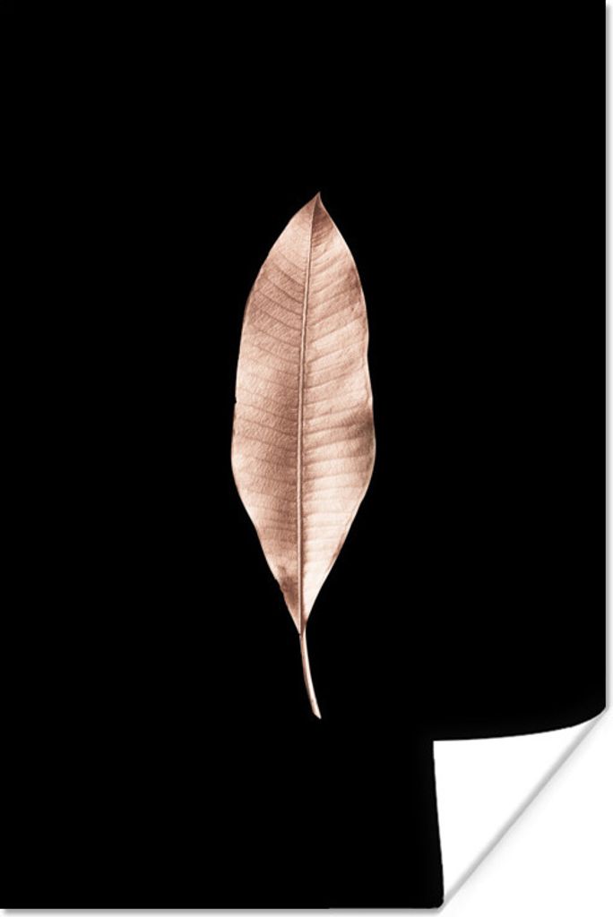 MuchoWow Poster Roségold - Blätter - Schwarz 80x120 cm - Papierdruck