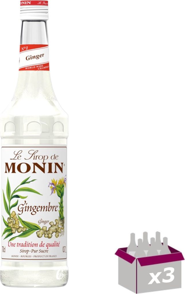 Lot de 3 Sirop Monin - Gingembre - 70cL
