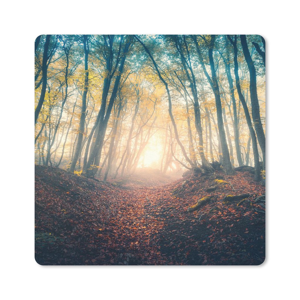 MuchoWow Mauspad Mousepad Wald - Nebel - Sonne - Herbst 20x20 cm - Mousepads - Maus Mat - Pad - Mausunterlage - Desk Mat - Bureauartikeln