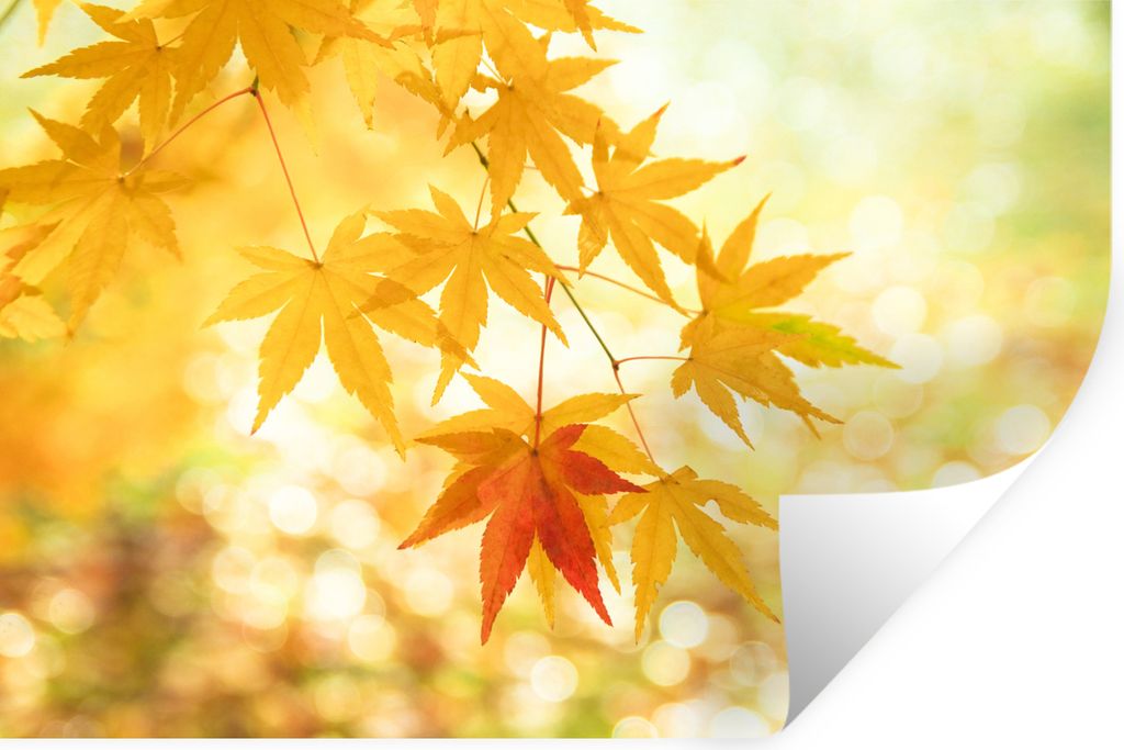 MuchoWow - Selbstklebend - Fototapeten