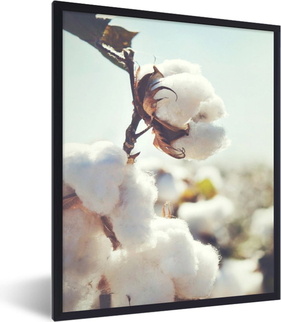 MuchoWow Gerahmtes Poster Pflanzen - Blume - Zweig - Natur 60x80 cm - Poster mit Schwarzem Bilderrahmen Wandposter Rahmen Foto Bilder - Premium -...