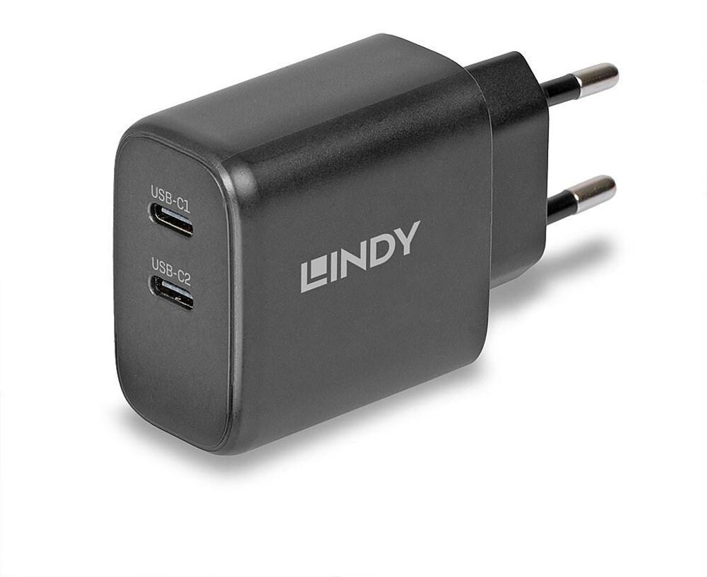 Lindy 65W USB 2 x Type C GaN Charger mit EU-Stecker (73438) Image du produit 