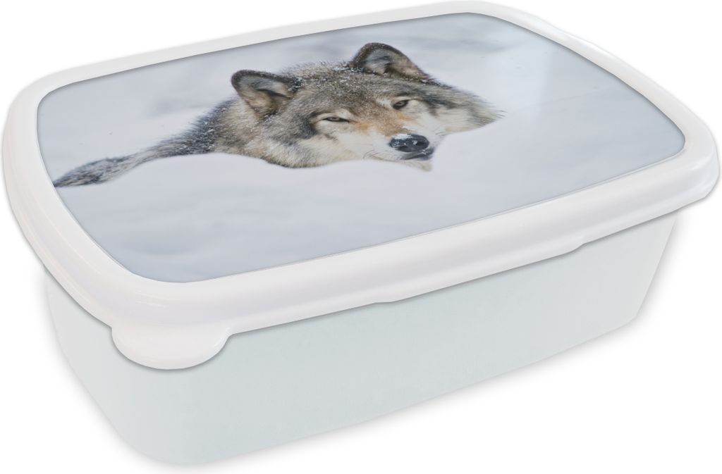 KitchenYeah Lunchbox Brotzeit Brotdose 17x11 cm Wolf - Schnee - Mantel Kinder Brotzeitdose - Lunch Box - Kinder - Sandwich-Box - Schulbox - Lunch...