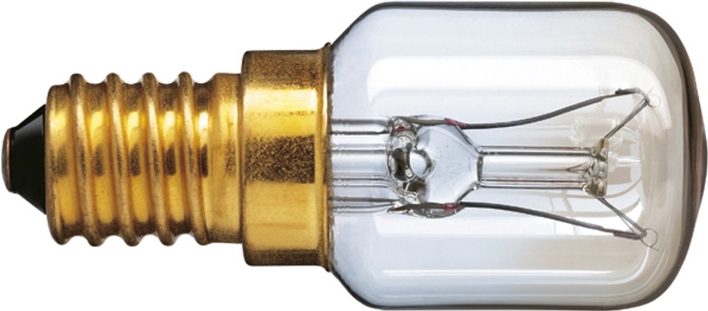 A close-up studio shot of a small incandescent light bulb with a screw base.