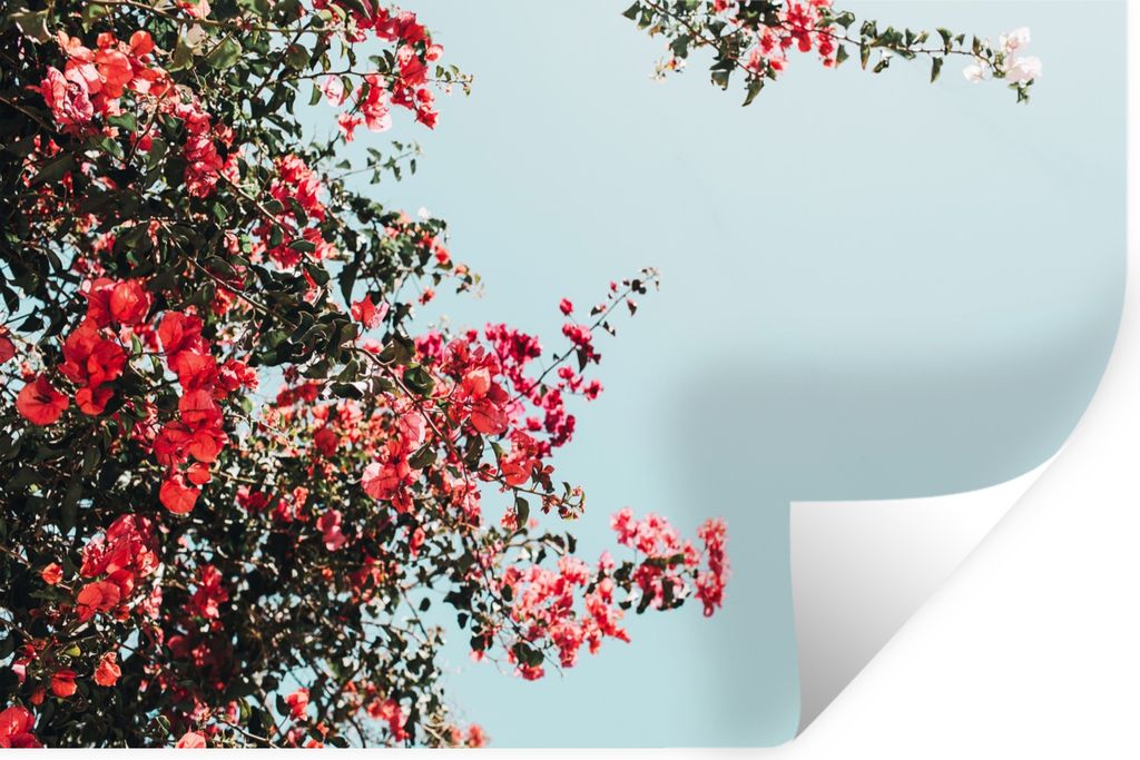 MuchoWow Wandtattoo Wandsticker Wandaufkleber Blumen - Luft - Rosa 60x40 cm Selbstklebend und Repositionierbar - Wierderverwendbar - Selbstklebend