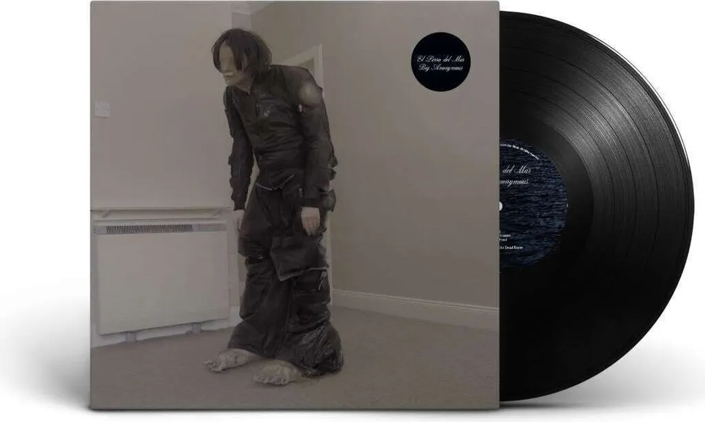 CD Album Les grands anonymes El Perro Del Mar Musique Alternative 2024