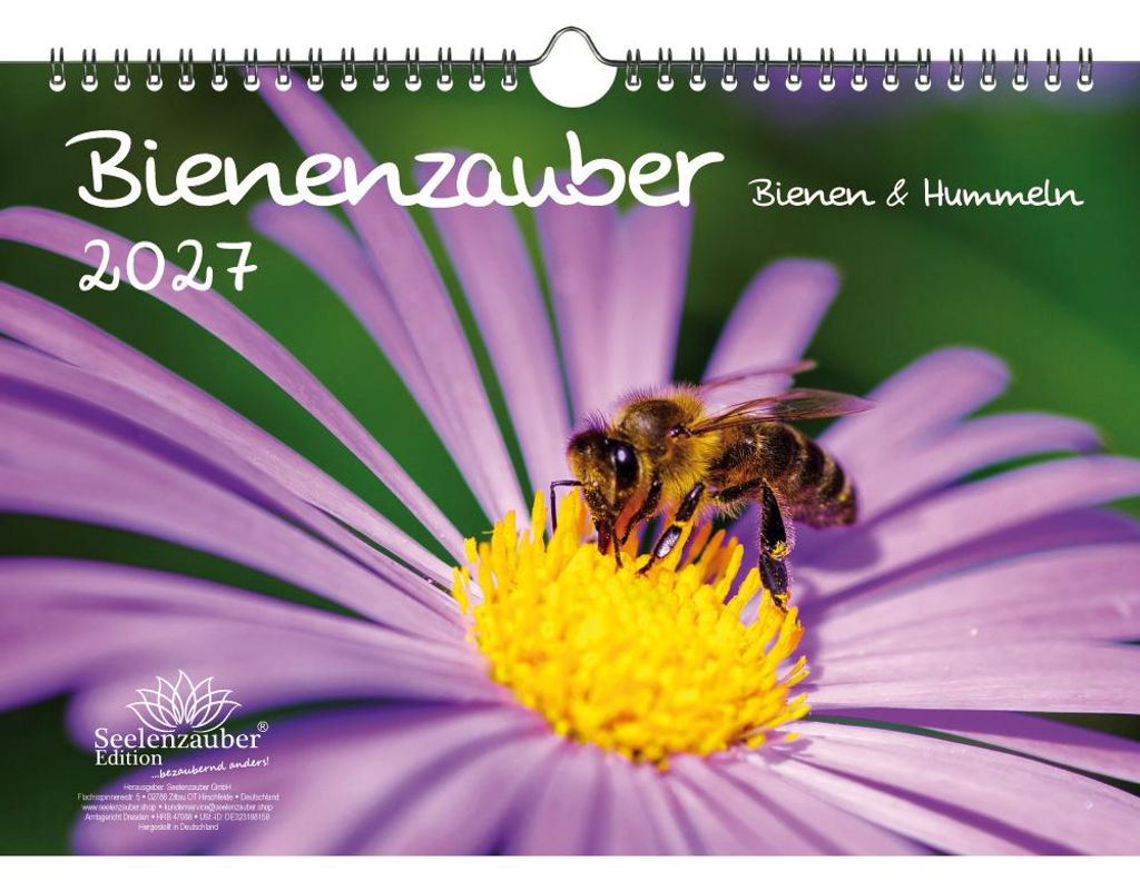 Bienenzauber Bienen und Hummeln DIN A4 Kalender für 2027 - Seelenzauber