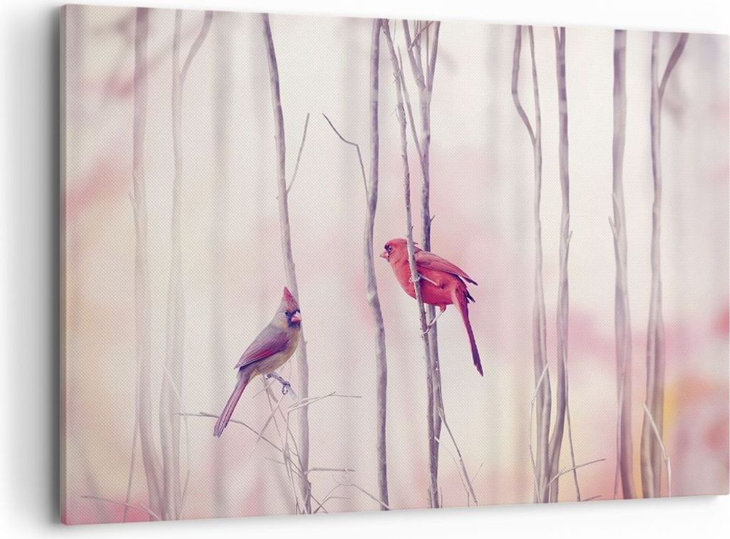 Bild auf Leinwand - Leinwandbild - Einteilig - Vögel Kardinal Scharlachrot - 120x80cm - Wand Bild - Wanddeko - Wandbilder - Leinwanddruck - Bilder...