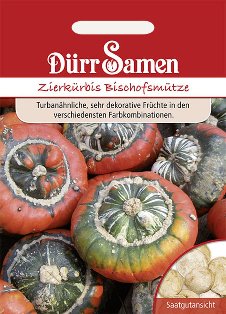 Dürr-Samen - Zierkürbis Bischofsmütze - Saatgut - 1801