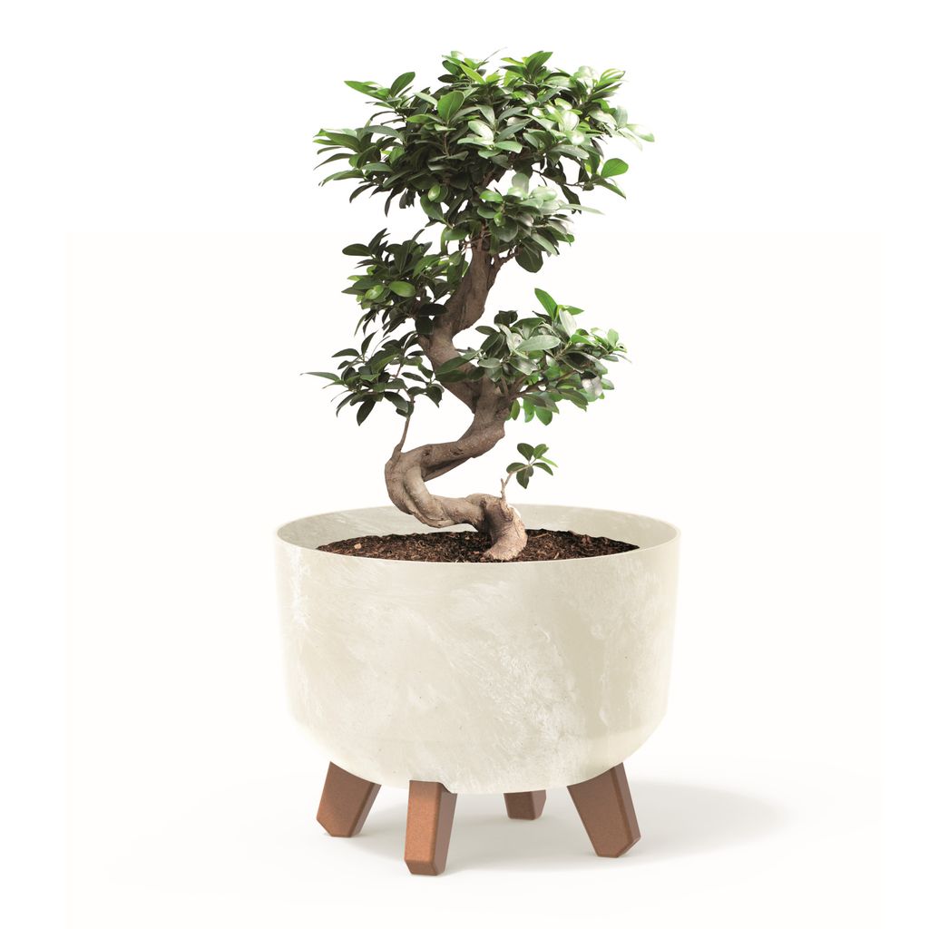 Blumentopf mit Füßen Pflanzkübel D 24 cm Cremig Kunststoff Töpfe mit Einsatz Beton Optik Übertöpfe Geldbaum Kakteen Gummibaum
