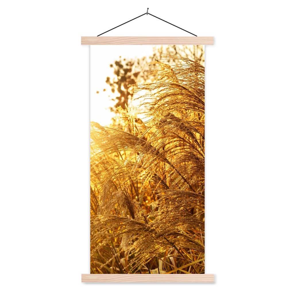 MuchoWow Textilposter Pampasgras - Sonne - Gras 60x120 cm mit holzfarbenen Rahmen - Holz