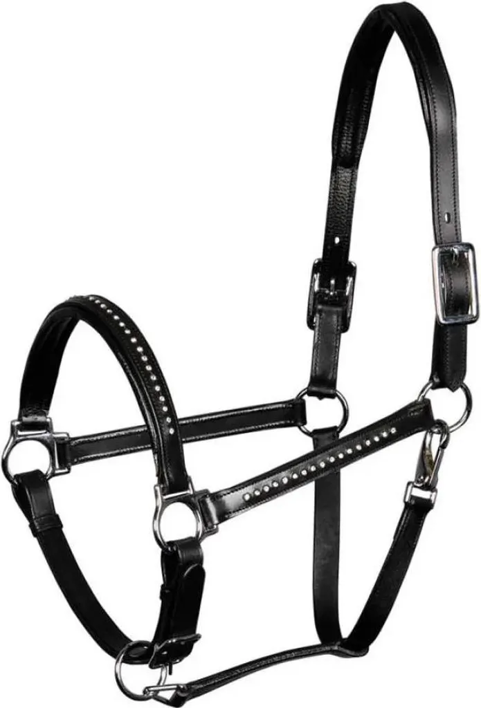 Cavezza Harry's Horse Finesse Crystal: Cuoio e Brillantini per Cavalli