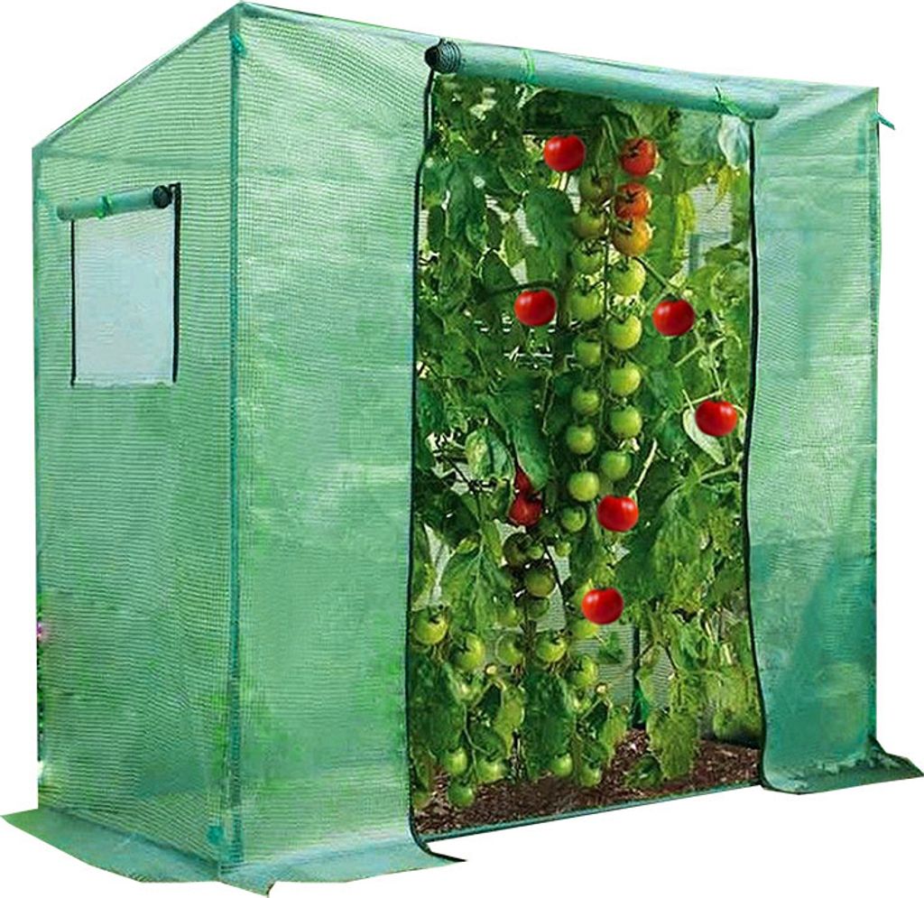 A green greenhouse with tomato plants growing inside.