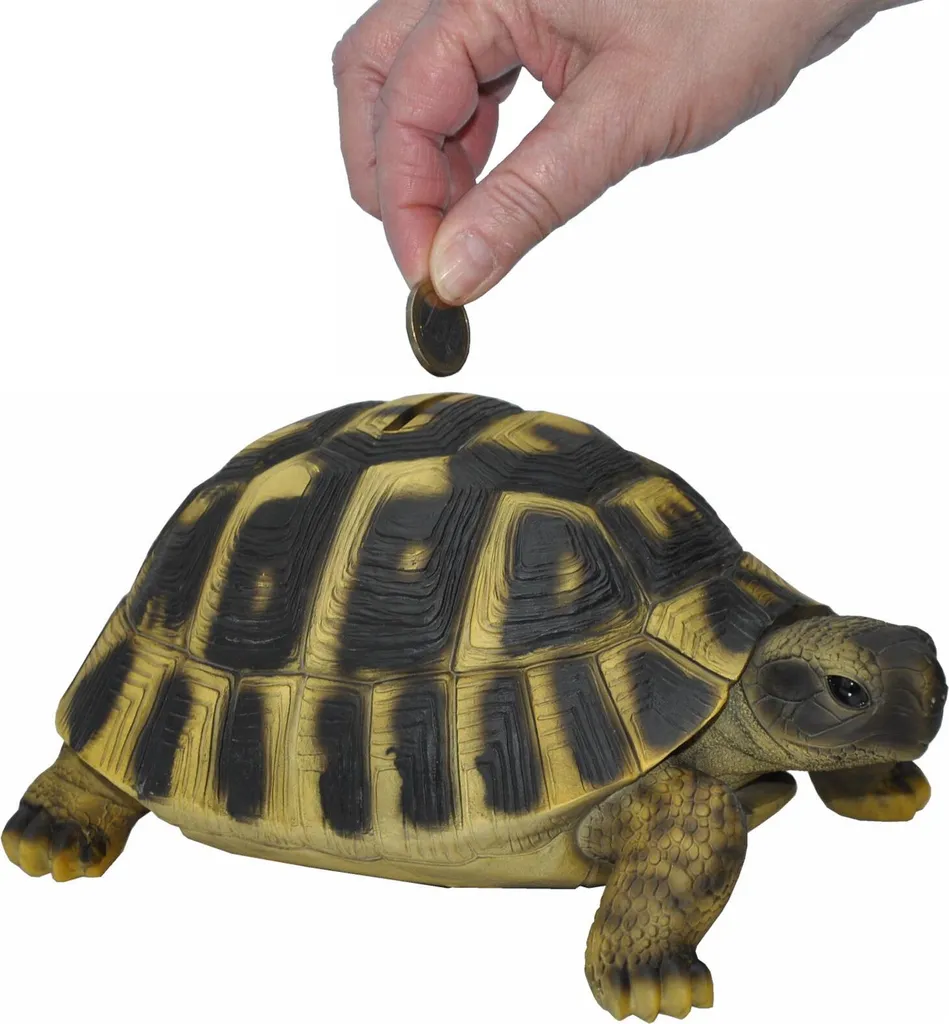 Tirelire grande tortue idéale pour apprendre l'épargne aux enfants bio