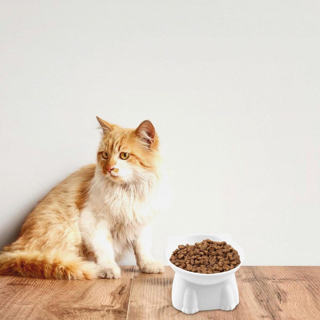 2 Stück Futternapf Katze, Katzennapf Erhöht, Fressnapf Katze, Katzennäpfe, Katzenschüssel, Katzenfutternapf, Katzen Essen Schale, Futternapf f...