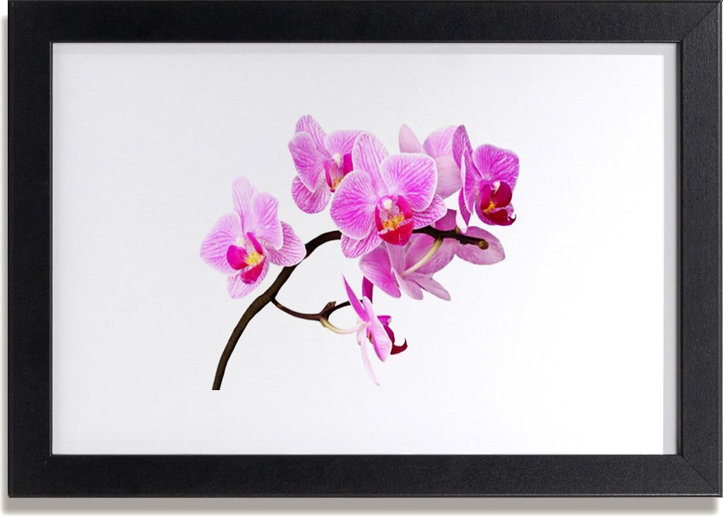 Bild 30x20 MDF-Rahmen Wandkunst Blumen Pflanzen Natur