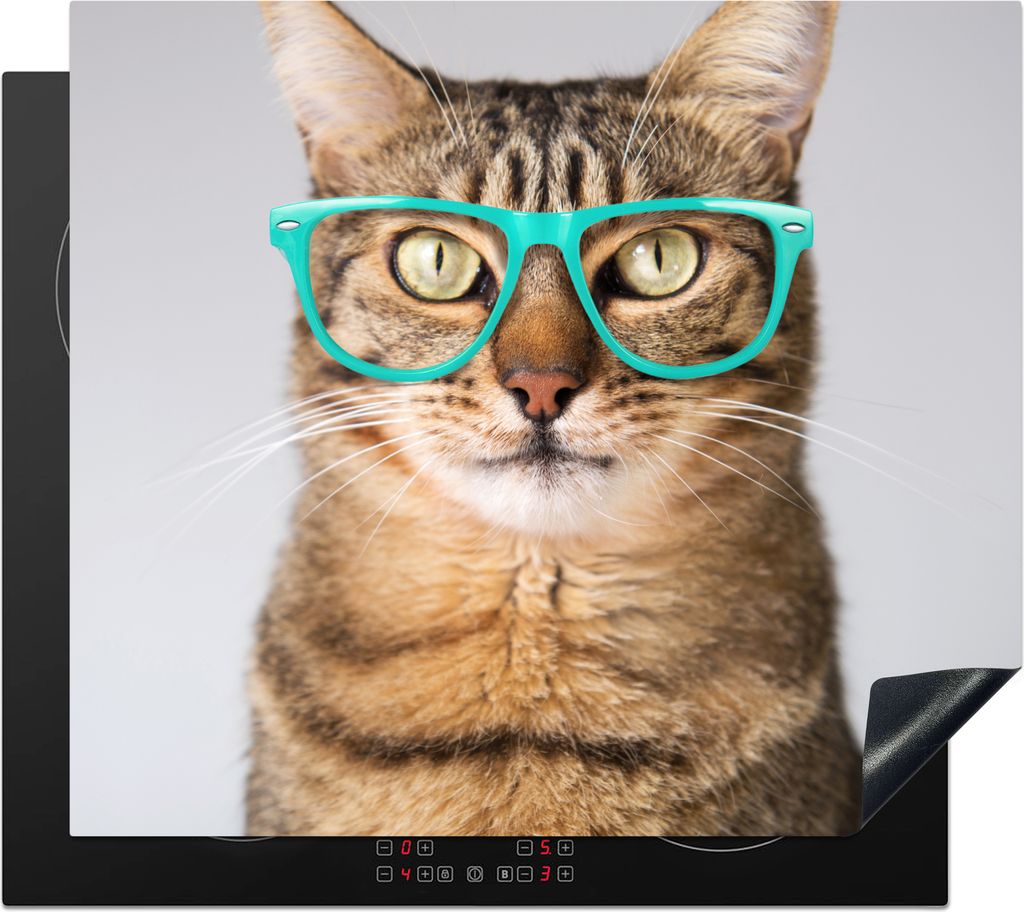 KitchenYeah Herdabdeckplatte Eine moderne Katze mit blauer Brille , 59x51cm, Küche Deko, Glaskeramikfeld Herdabdeckung, Abdeckplatte fùr Kochfeld