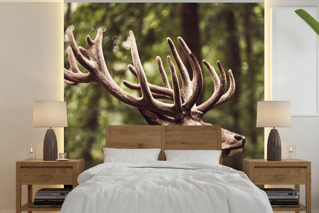 MuchoWow Fototapete für Wohnzimmer oder Schlafzimmer Wandtapete Vinyl Motivtapete Hirsch - Natur - Geweih - Wald - Tiere - 240x240 cm - Schlafzi...