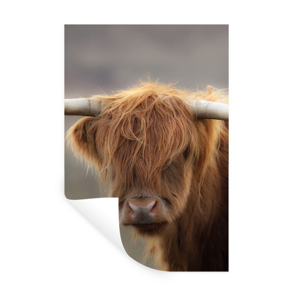 MuchoWow Wandtattoo Wandsticker Wandaufkleber Schottischer Highlander - Hörner - Haare 20x30 cm Selbstklebend und Repositionierbar - Sticker - D...