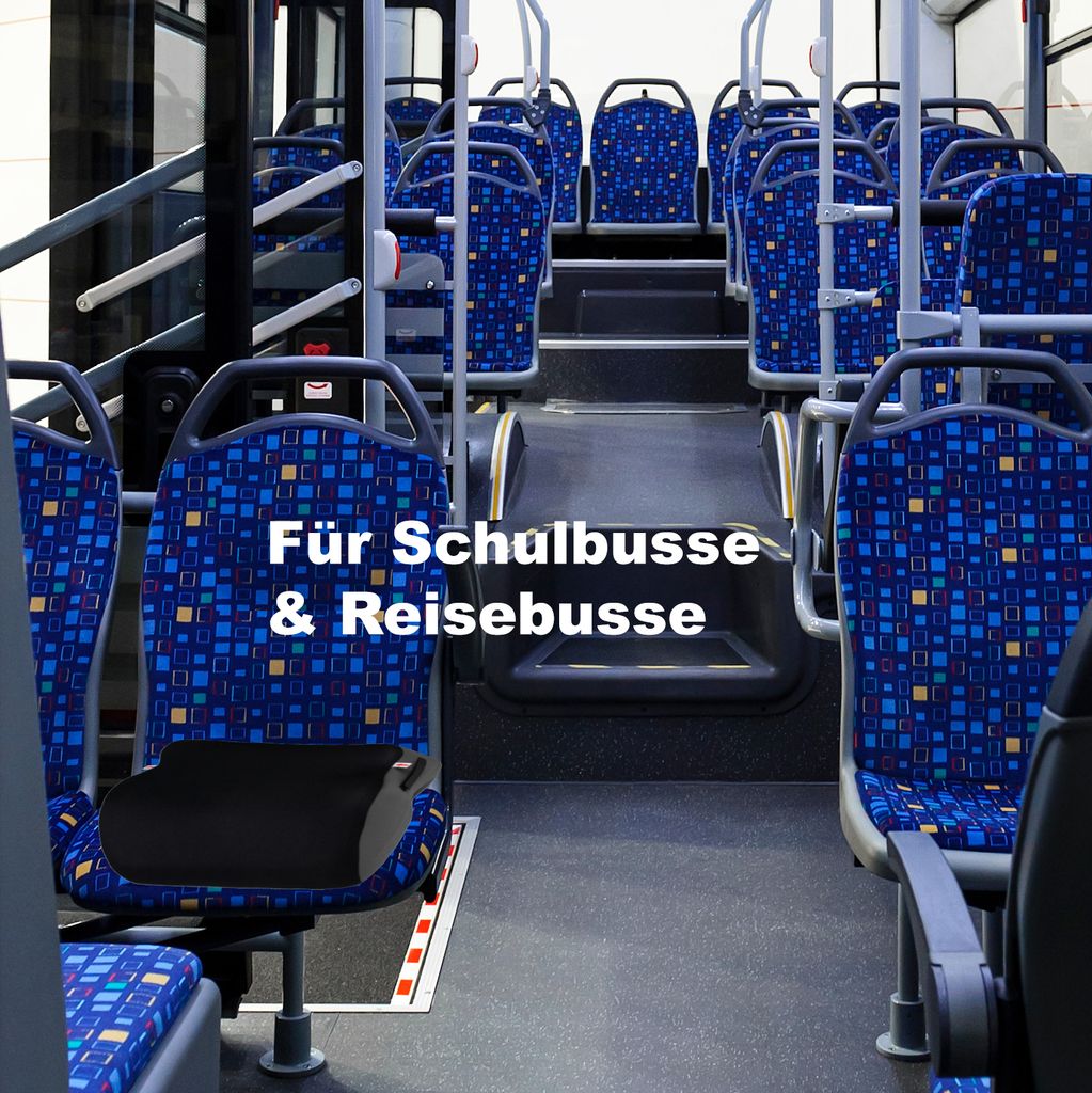 Autokindersitz Safari von UNITED KIDS Gruppe II/III Produktbild 13