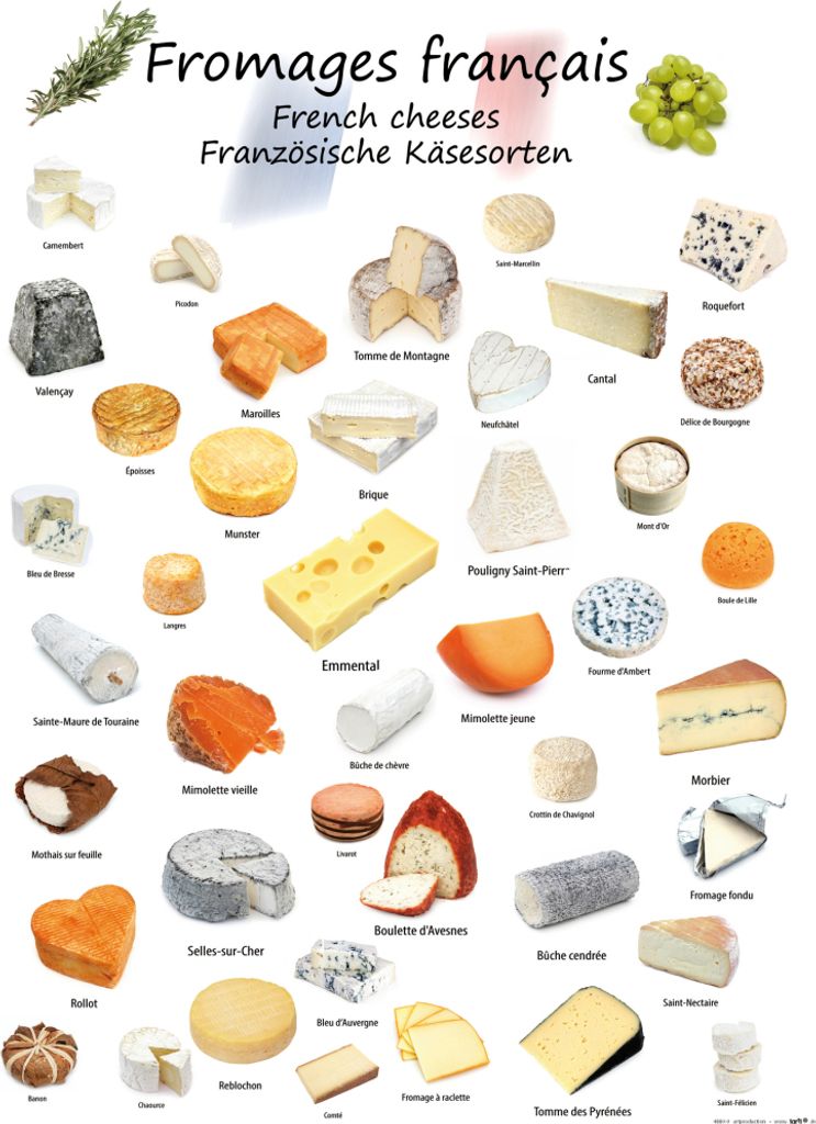 Käse Kunstdruck Bild - Französische Käsesorten (50 x 40 cm)